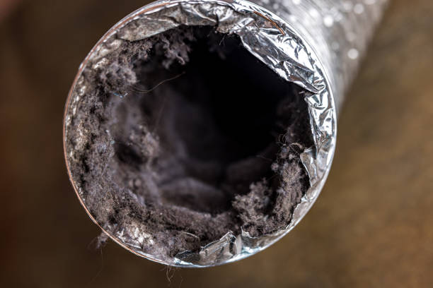 Best Duct Cleaning for Offices  in Wallace, FL